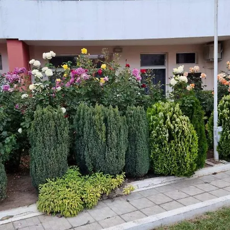 луксозни студиа нани *